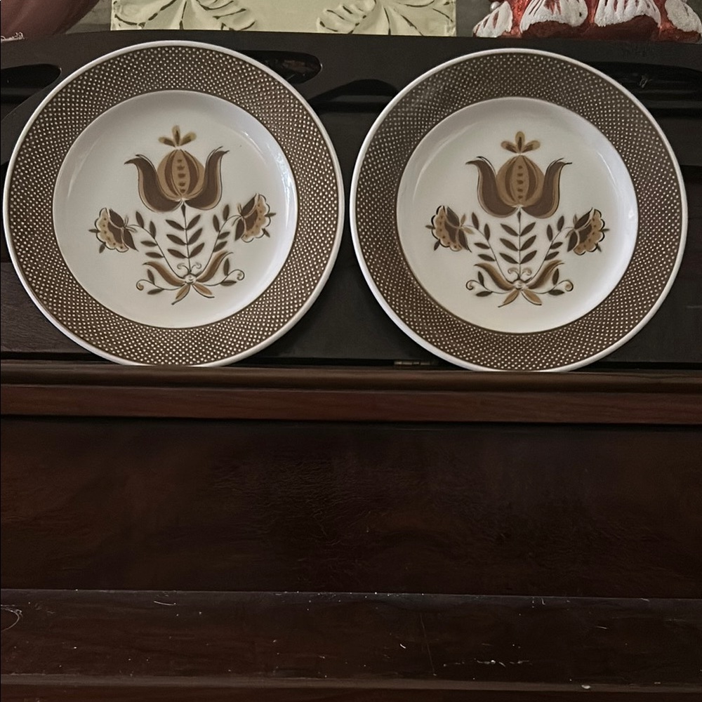Vintage Dunmore ironstone Floral salad Plates Set